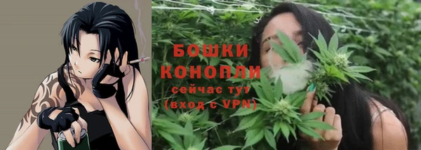 сатива Магас
