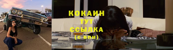 сатива Магас