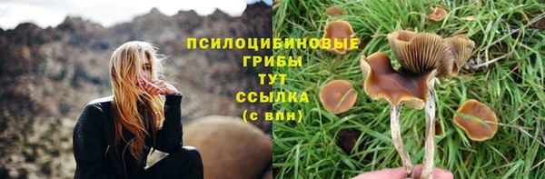 сатива Магас