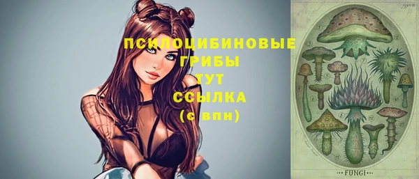 крисы Удомля