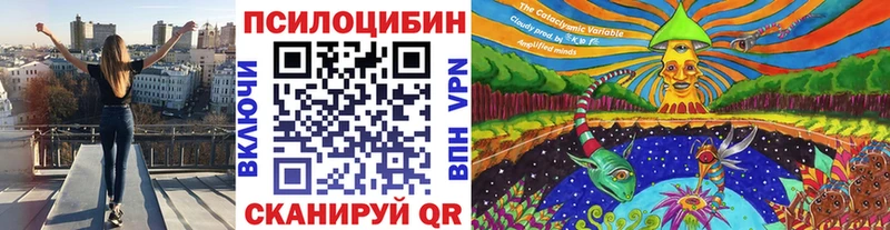 Псилоцибиновые грибы Magic Shrooms  Кисловодск 
