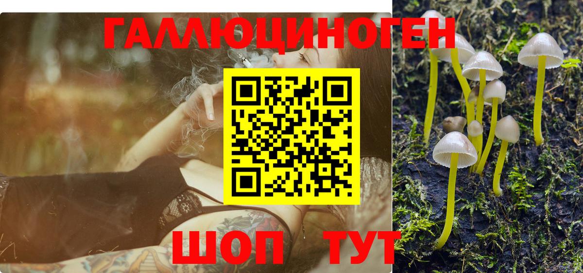Кисловодск  Галлюциногенные грибы ЛСД  наркотики  Вход с VPN 