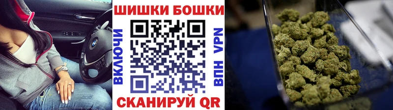 Бошки марихуана семена  цена наркотик  Кисловодск 